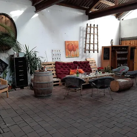 Weingut-Ferienhof Schäfer Dornfelder Apartment Gocklingen