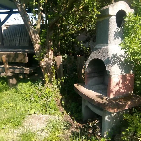 Weingut-Ferienhof Schäfer Dornfelder Gocklingen