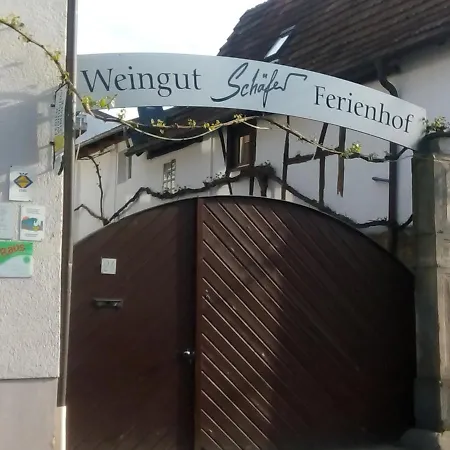 Weingut-Ferienhof Schäfer Dornfelder
