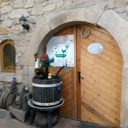 Weingut-Ferienhof Schäfer Dornfelder
