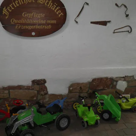 Apartment Weingut-Ferienhof Schäfer Dornfelder Gocklingen